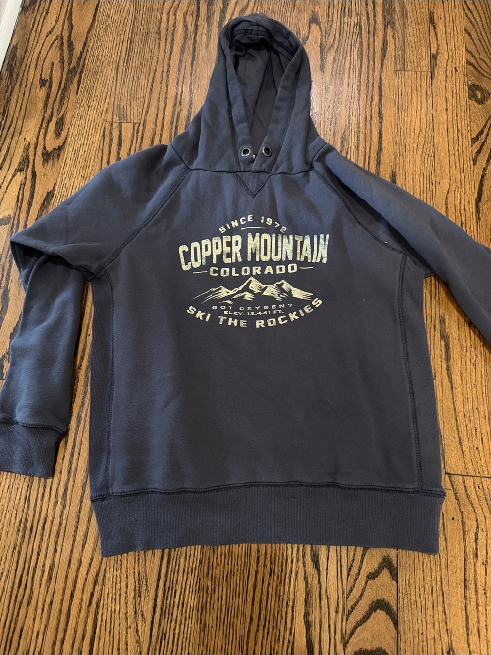 Blue 84 Navy Copper Mountain Graphic Hoodie